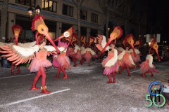 2013_Carnaval_088