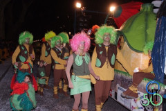 2013_Carnaval_094