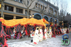 2015_Carnaval_053