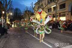 2020_Carnaval_078
