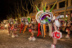 Carnaval_2024_228