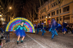Carnaval_2024_249