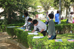 2021_dmare_cdibuix_023