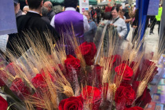 2022_dmare_cdibuix_017