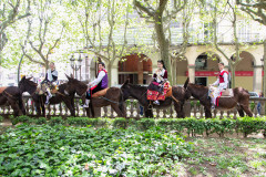 2022_dmare_cdibuix_064